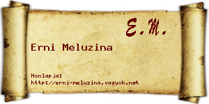 Erni Meluzina névjegykártya